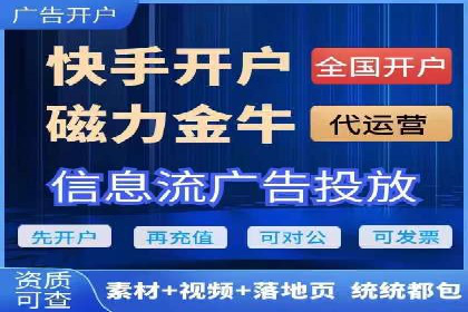 成功SEM竞价托管案例分析报告